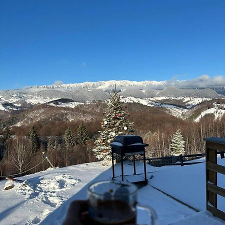 Cabanuta din munti Hotel Moieciu de Jos Bagian luar foto
