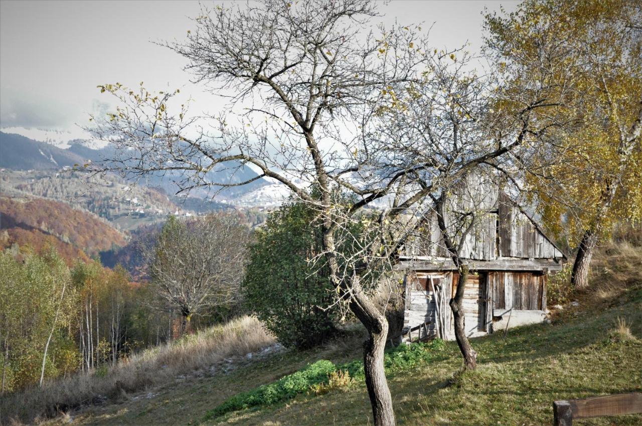 Cabanuta din munti Hotel Moieciu de Jos Bagian luar foto