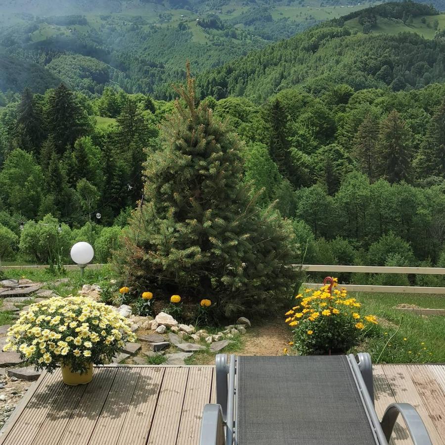 Cabanuta din munti Hotel Moieciu de Jos Bagian luar foto
