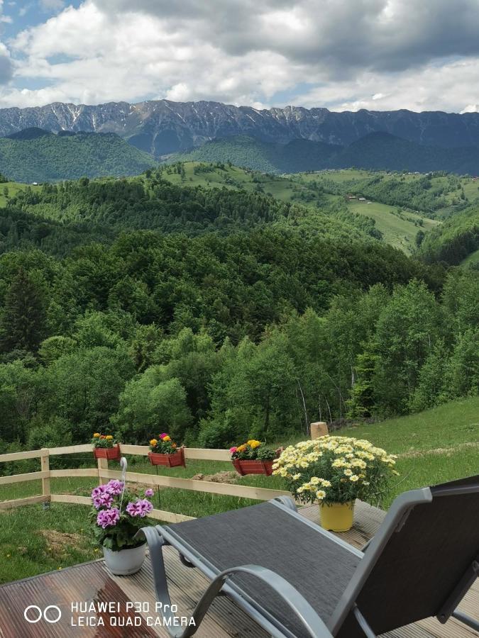 Cabanuta din munti Hotel Moieciu de Jos Bagian luar foto