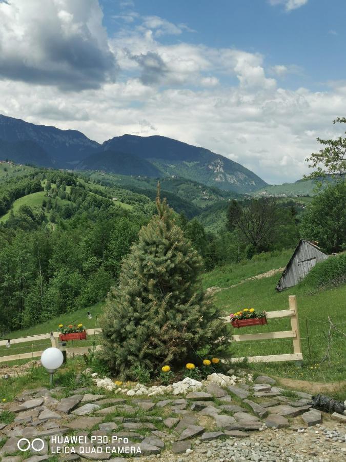 Cabanuta din munti Hotel Moieciu de Jos Bagian luar foto