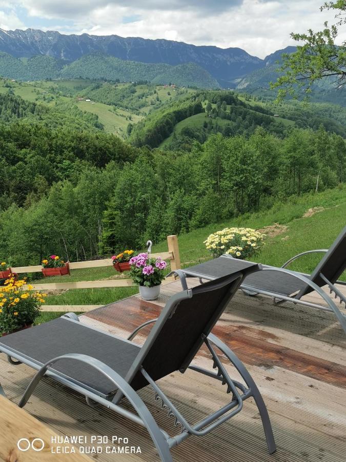 Cabanuta din munti Hotel Moieciu de Jos Bagian luar foto