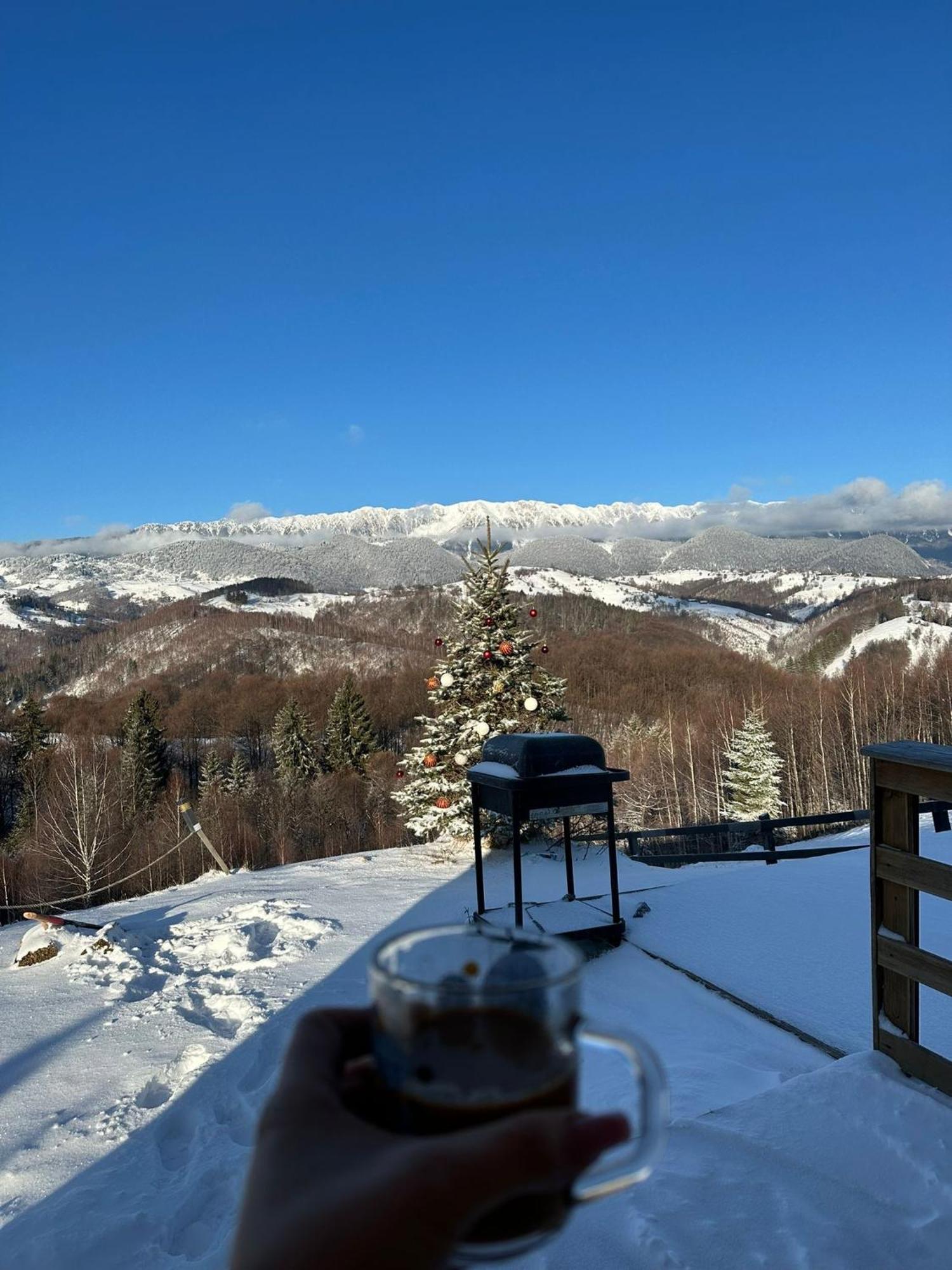 Cabanuta din munti Hotel Moieciu de Jos Bagian luar foto