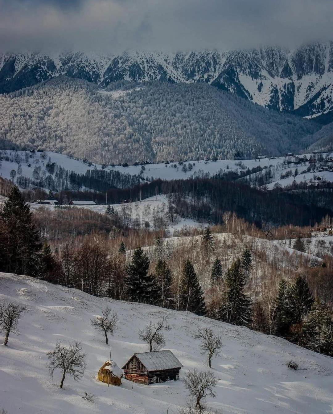 Cabanuta din munti Hotel Moieciu de Jos Bagian luar foto